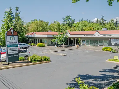 Glenwood Square