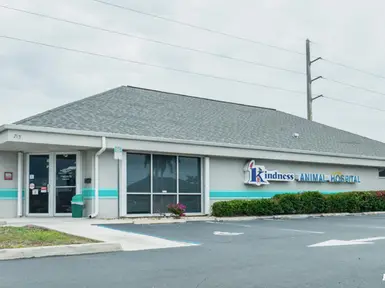 Kindness Animal Hospital