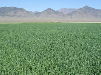 0000000000000000000000000730620