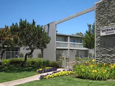 3a9f7849-b25e-403d-b108-33ff6df9c819