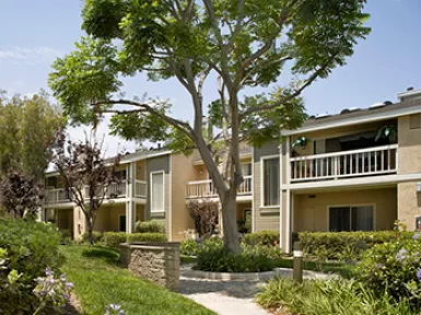 c5b2c477-215c-4747-83a0-2cf1ac35ab4b