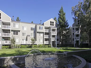 Silicon Valley MF_web cropt