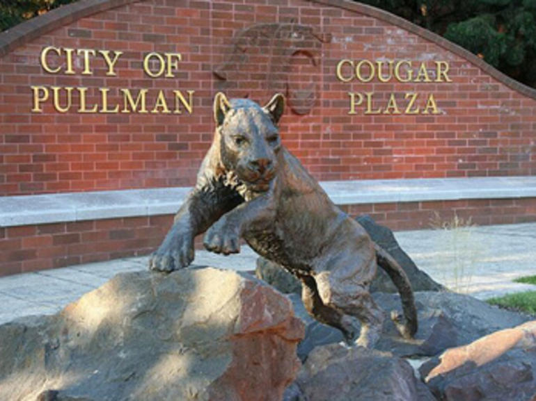 0000000000000000000000000729122