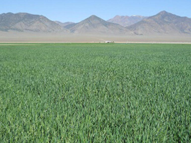 0000000000000000000000000730620