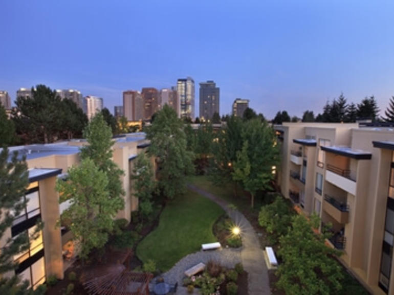 b39c7244-5c0a-4c0b-82e2-d882218d8c90